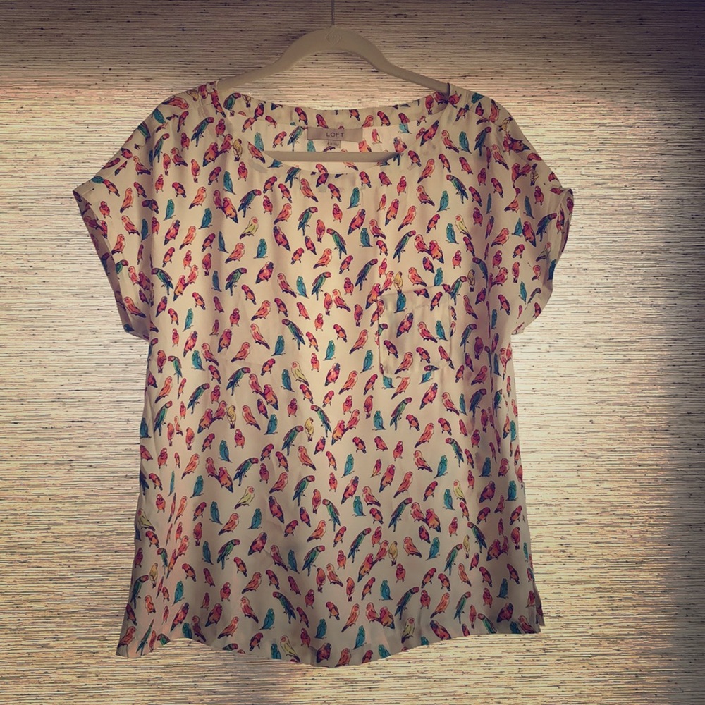 Parrot top